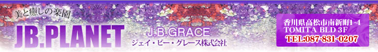 쌧s̃GXeTJBvlbg