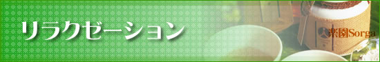 リラクゼーション楽園Soroga
